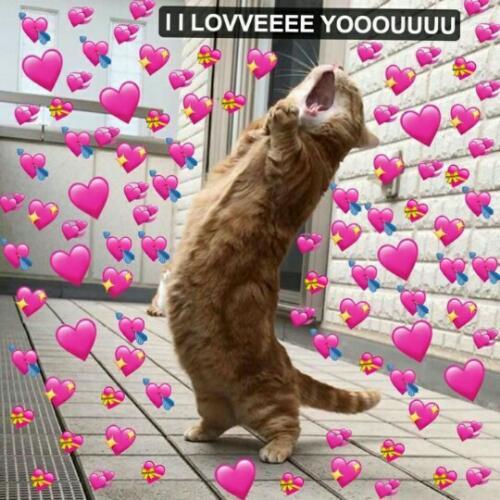 สมาชิกหมายเลข 4568931