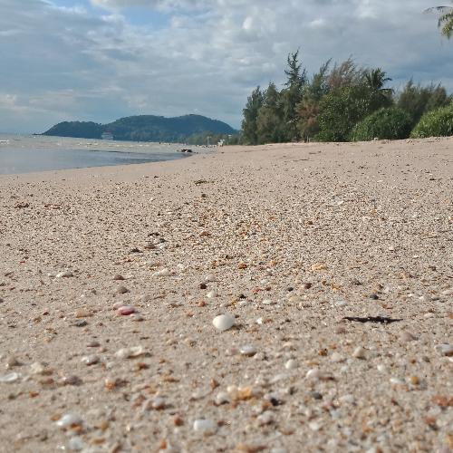 สมาชิกหมายเลข 4749845