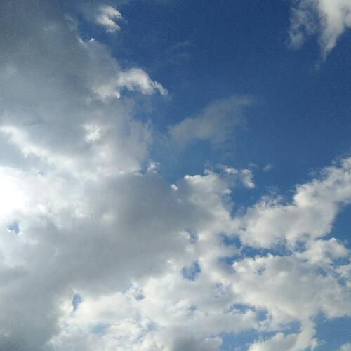 สมาชิกหมายเลข 4965086