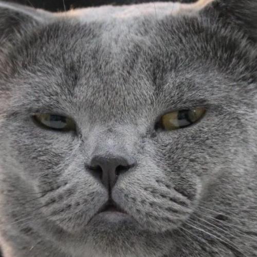 สมาชิกหมายเลข 4204665