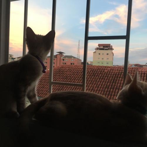 สมาชิกหมายเลข 5921138