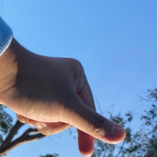 สมาชิกหมายเลข 4590360