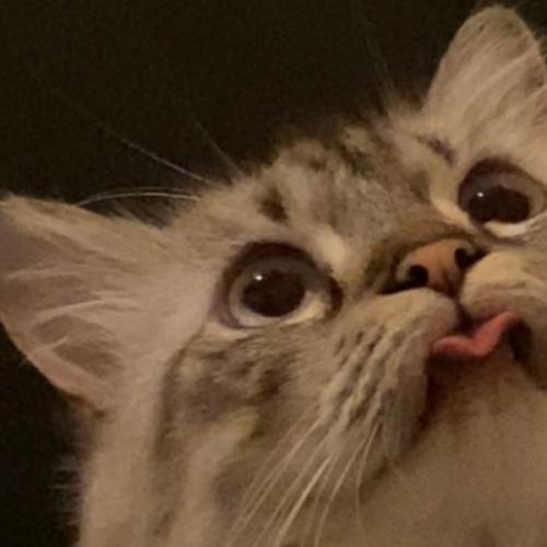 สมาชิกหมายเลข 6832054