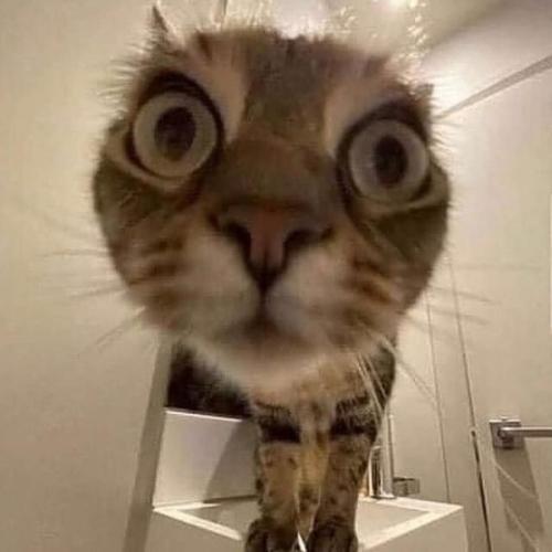 สมาชิกหมายเลข 6713097