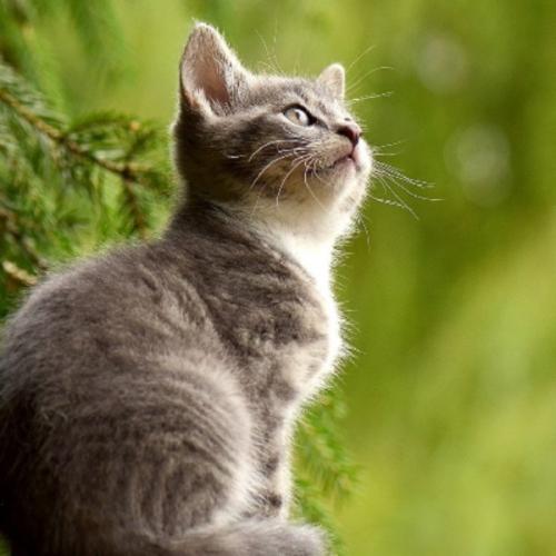 สมาชิกหมายเลข 7600479