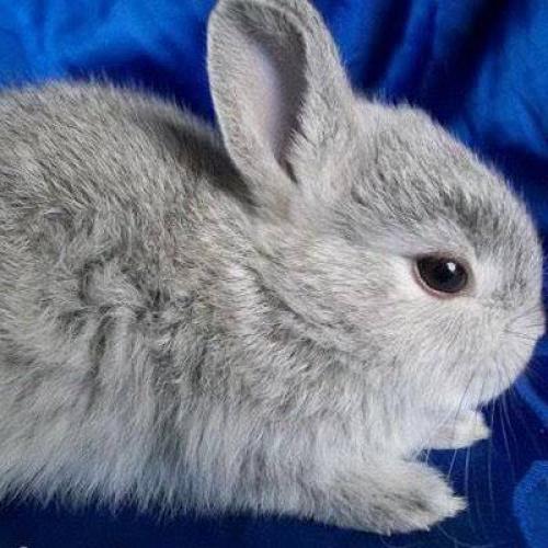 สมาชิกหมายเลข 7601011