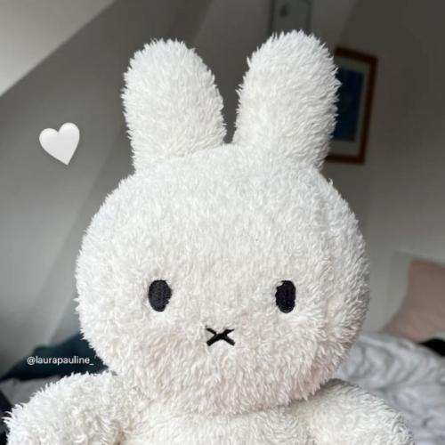 สมาชิกหมายเลข 8528199