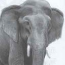 อาคาสาเซโม