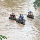 สมาชิกหมายเลข 4022494