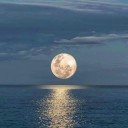 สมาชิกหมายเลข 4029046