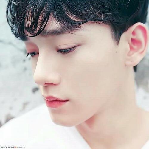 สมาชิกหมายเลข 4131193