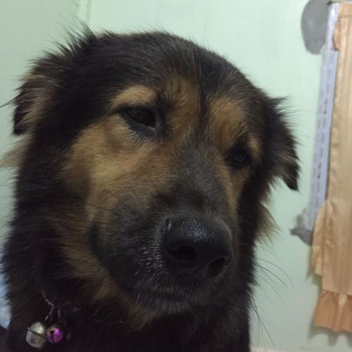 สมาชิกหมายเลข 741828