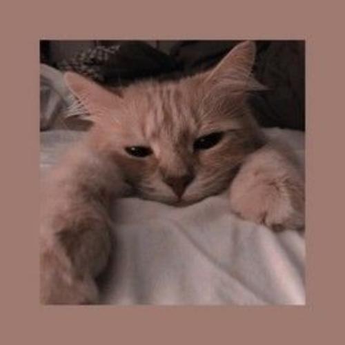 สมาชิกหมายเลข 4790101