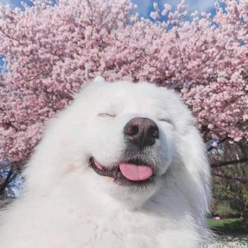 สมาชิกหมายเลข 5622804