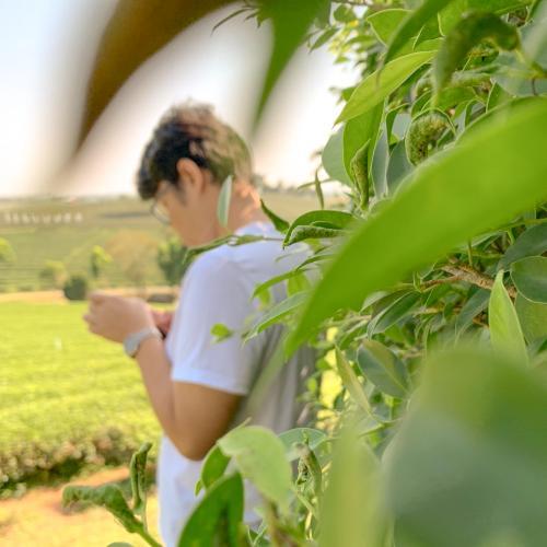 สมาชิกหมายเลข 3927405