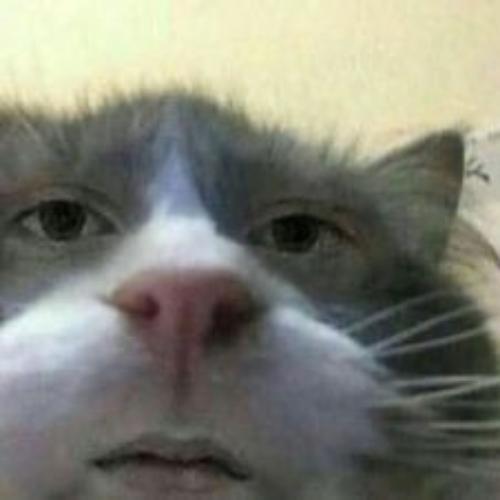 สมาชิกหมายเลข 5491991