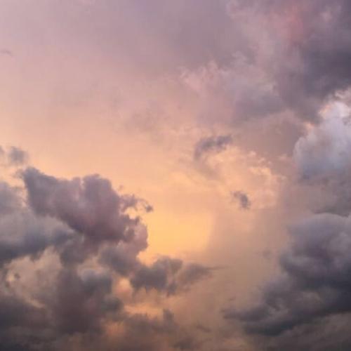 สมาชิกหมายเลข 6190408