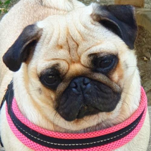 สมาชิกหมายเลข 6190629