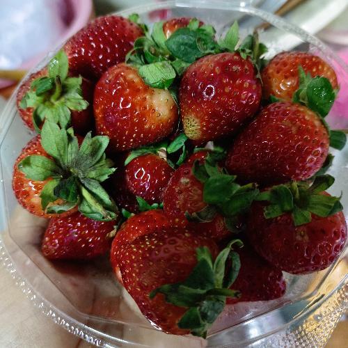 สมาชิกหมายเลข 8509329