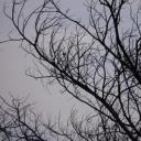 สมาชิกหมายเลข 4029683