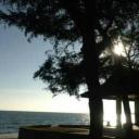 สมาชิกหมายเลข 4029694