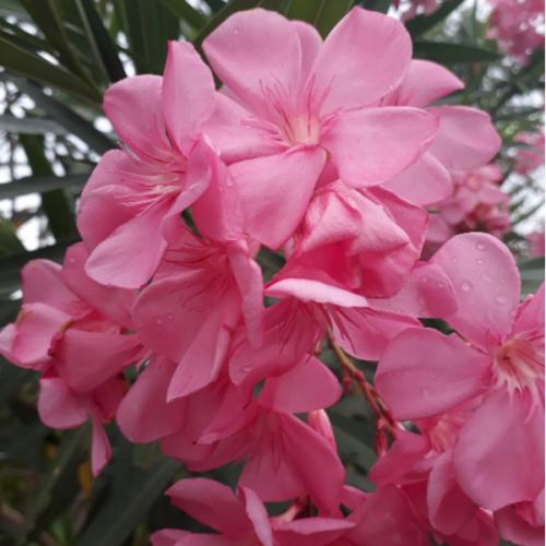 สมาชิกหมายเลข 3814654