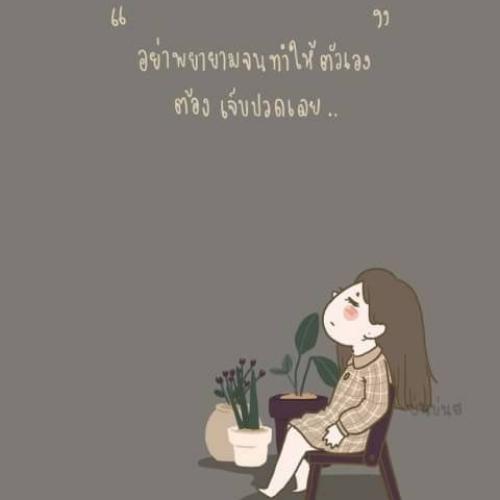 สมาชิกหมายเลข 5202583