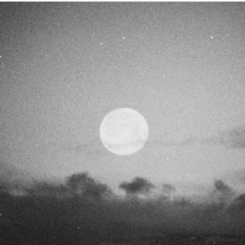 สมาชิกหมายเลข 5207924