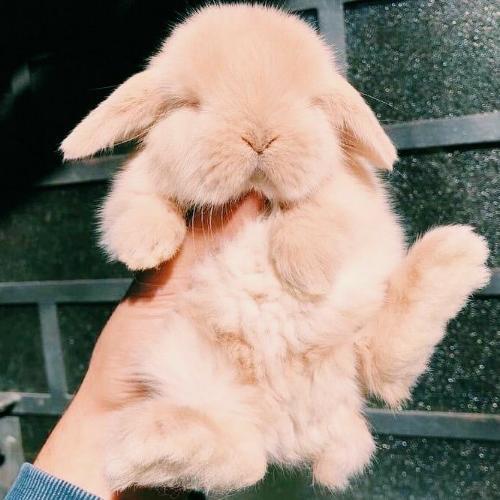 สมาชิกหมายเลข 6179141