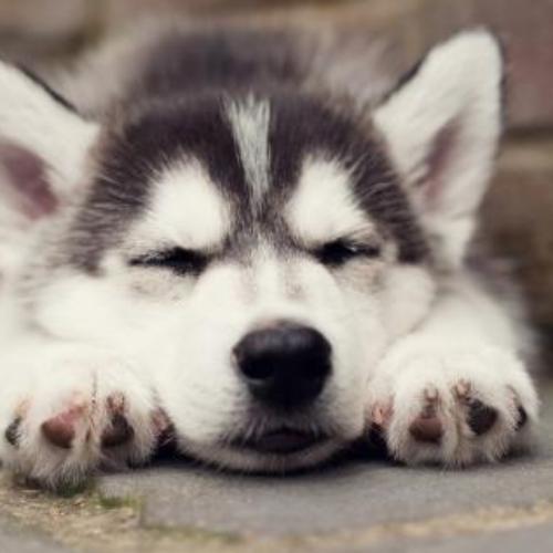 สมาชิกหมายเลข 5370572