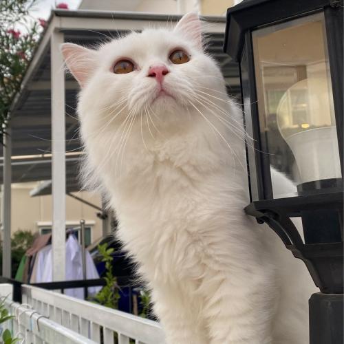 สมาชิกหมายเลข 2742945