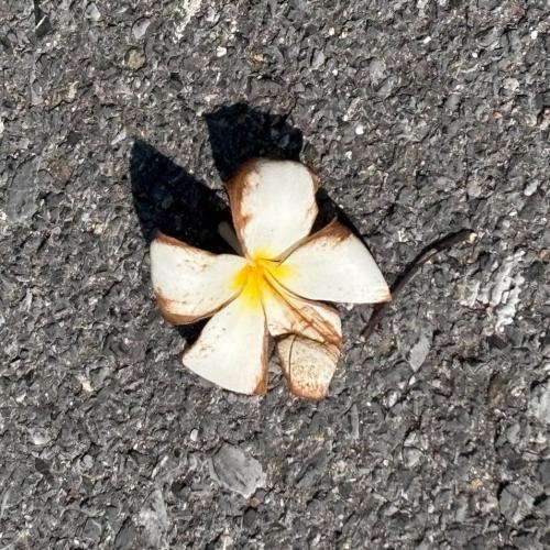 สมาชิกหมายเลข 8531077