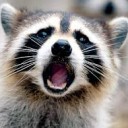 สมาชิกหมายเลข 3773337