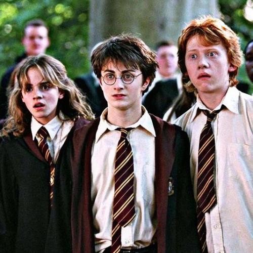 สมาชิกหมายเลข 4029911