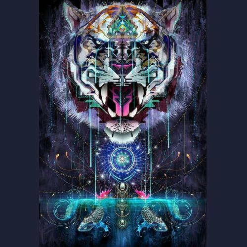 สมาชิกหมายเลข 4491984