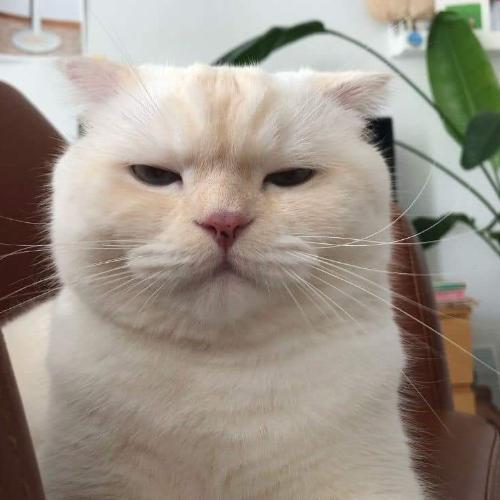 สมาชิกหมายเลข 4040992