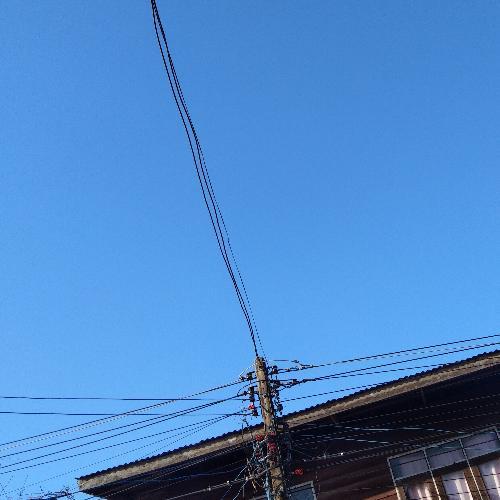 สมาชิกหมายเลข 4823669