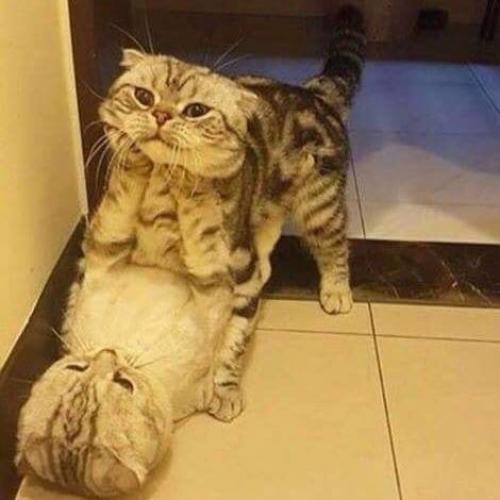 สมาชิกหมายเลข 4823717