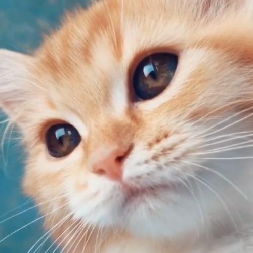 สมาชิกหมายเลข 5391125