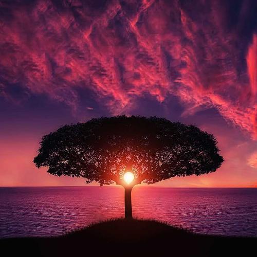 สมาชิกหมายเลข 6128182