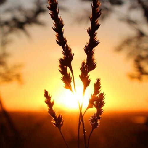 สมาชิกหมายเลข 6191890