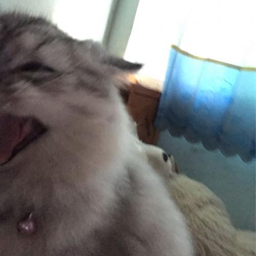 สมาชิกหมายเลข 4065098