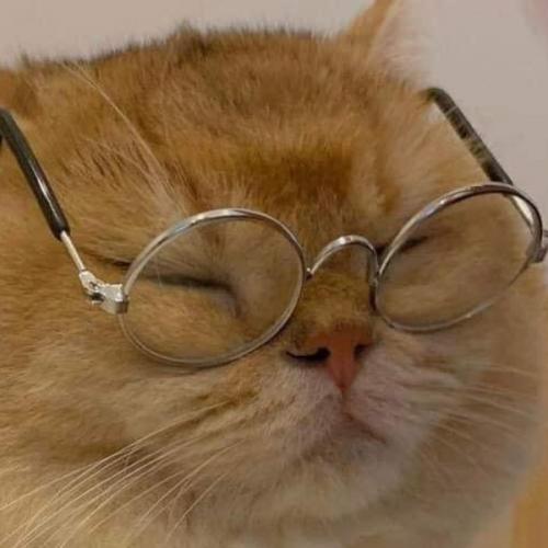 สมาชิกหมายเลข 6833911