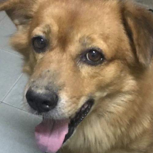 สมาชิกหมายเลข 4745386