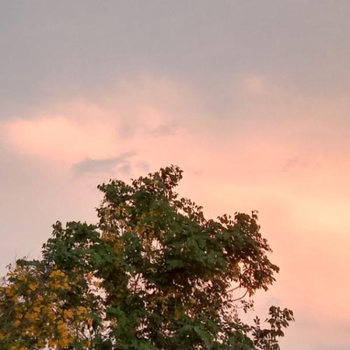 สมาชิกหมายเลข 7603047