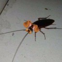 สมาชิกหมายเลข 4030326