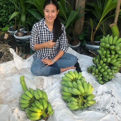 สมาชิกหมายเลข 4823955