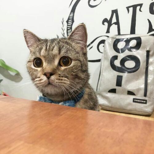 สมาชิกหมายเลข 4824067