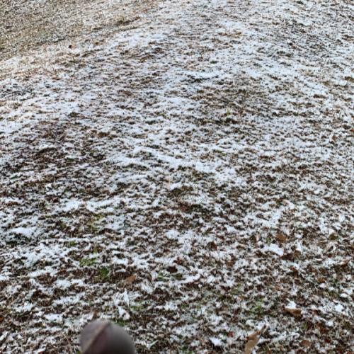 สมาชิกหมายเลข 1106473