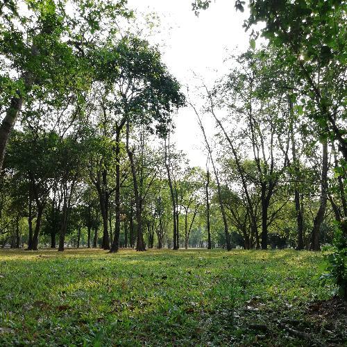 สมาชิกหมายเลข 4633911